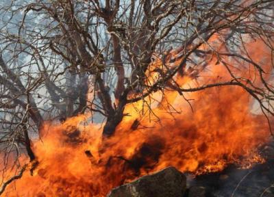 هشدار سازمان هواشناسی؛ احتمال آتش سوزی در جنگل ها و طوفان شن در جنوب شرق کشور